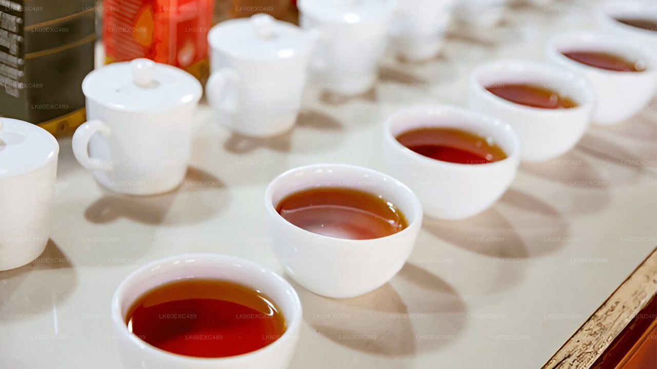 Low-grown Tea Factory Visit and Tea Tasting Experience From Galle