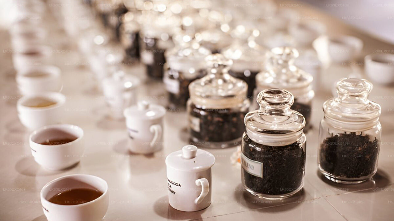 Low-grown Tea Factory Visit and Tea Tasting Experience From Galle