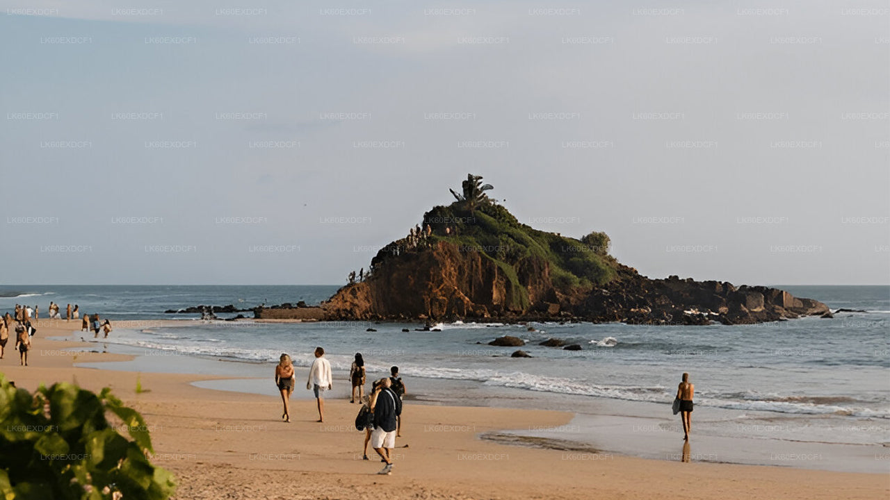 Privétour van Ella naar Mirissa met Udawalawe Safari