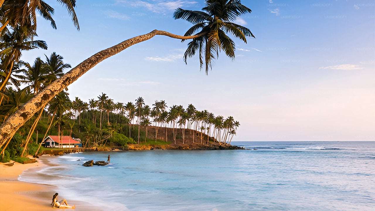 Privétour van Ella naar Mirissa met Udawalawe Safari