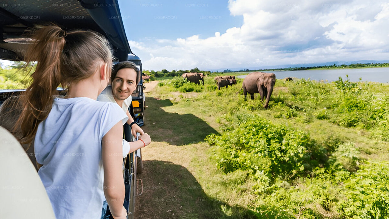 Privétour van Ella naar Mirissa met Udawalawe Safari