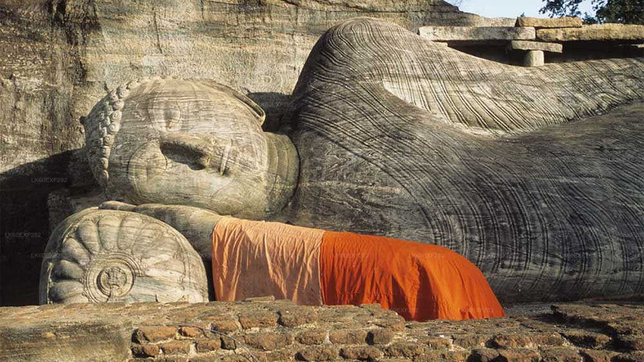 Sigiriya naar Pasikudah privétransfer met oude stadstour door Polonnaruwa