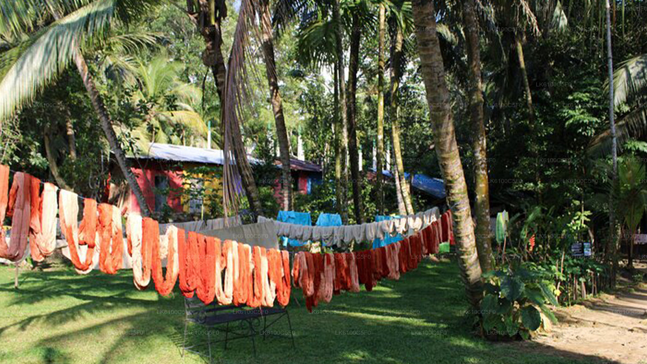 Ontdek de verborgen pareltjes van Galle en dineer met locals