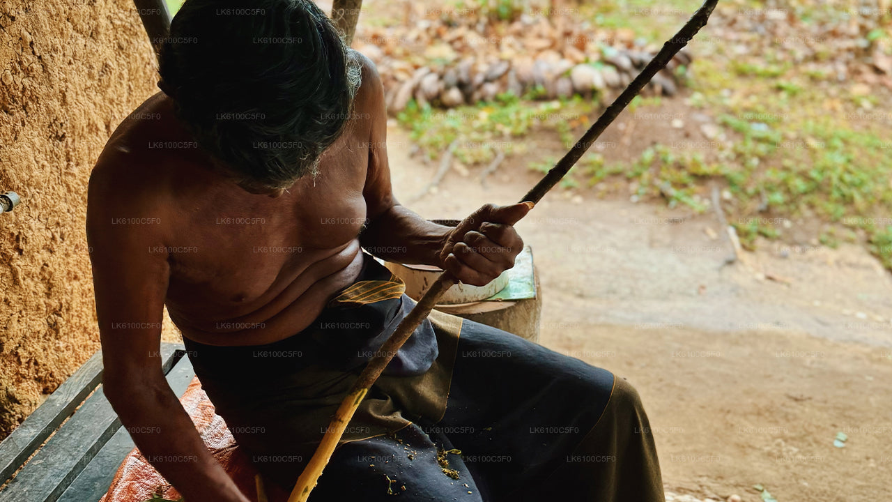 Ontdek de verborgen pareltjes van Galle en dineer met locals