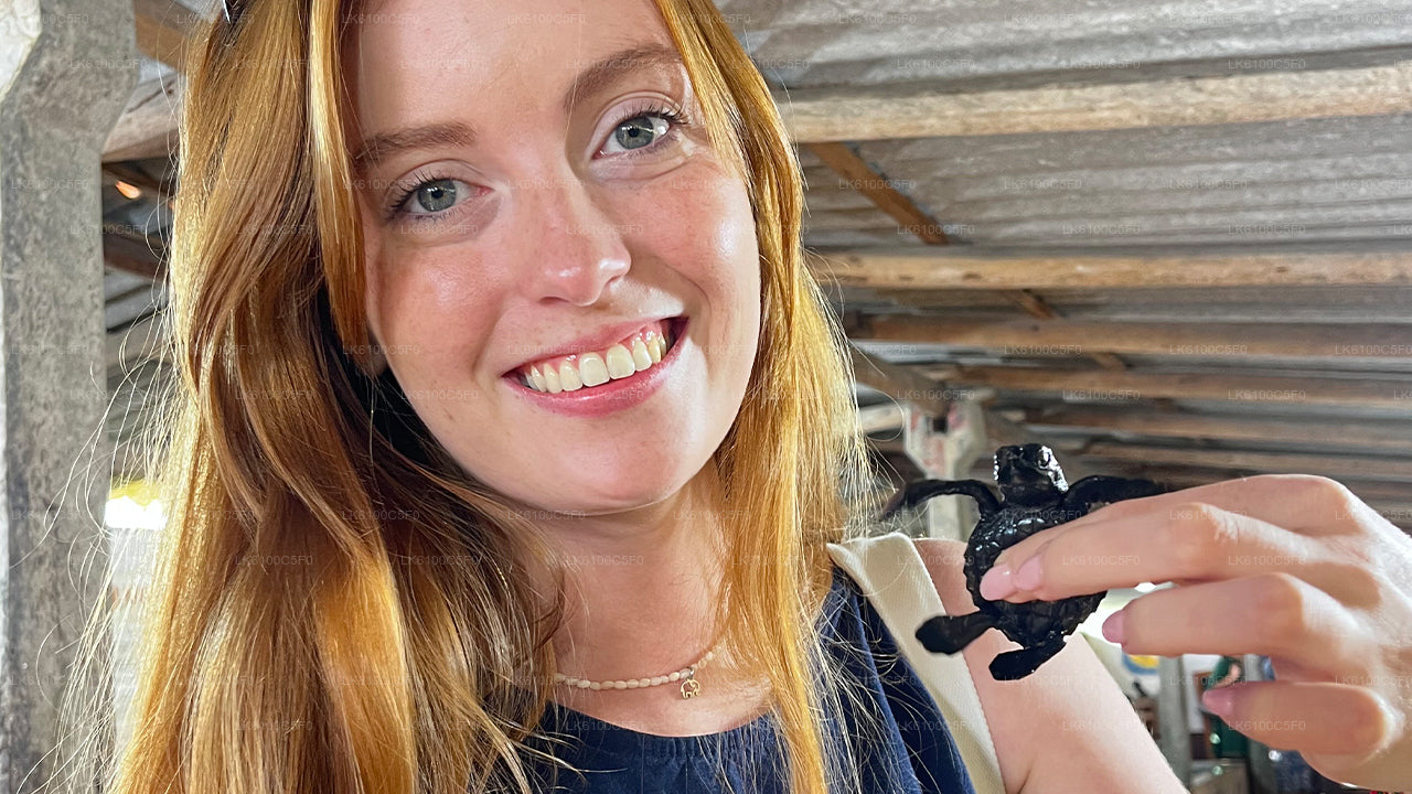 Ontdek de verborgen pareltjes van Galle en dineer met locals