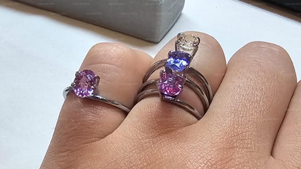 Ontdek de verborgen pareltjes van Galle en dineer met locals