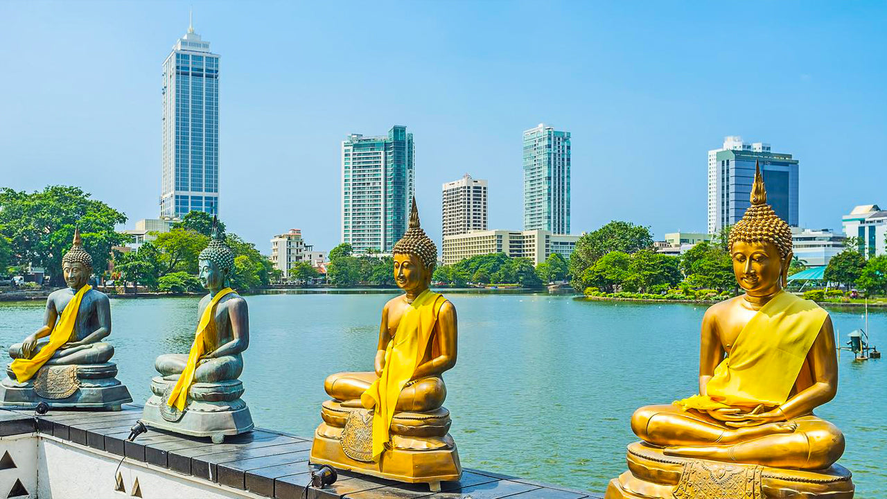 Colombo City Tour from Mount Lavinia