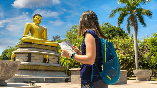 Stadstour door Colombo vanuit de haven van Colombo