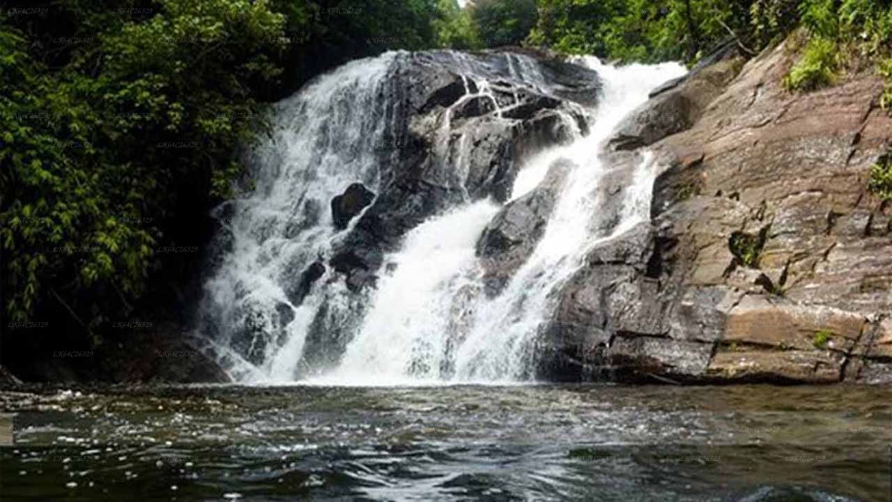 Sinharaja Rain Forest Waterval Tour
