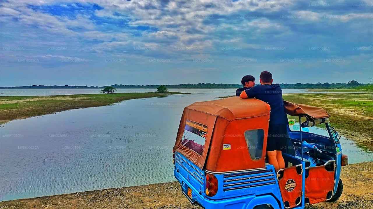 Tuk Tuk Safari langs de zuidkust vanuit Galle