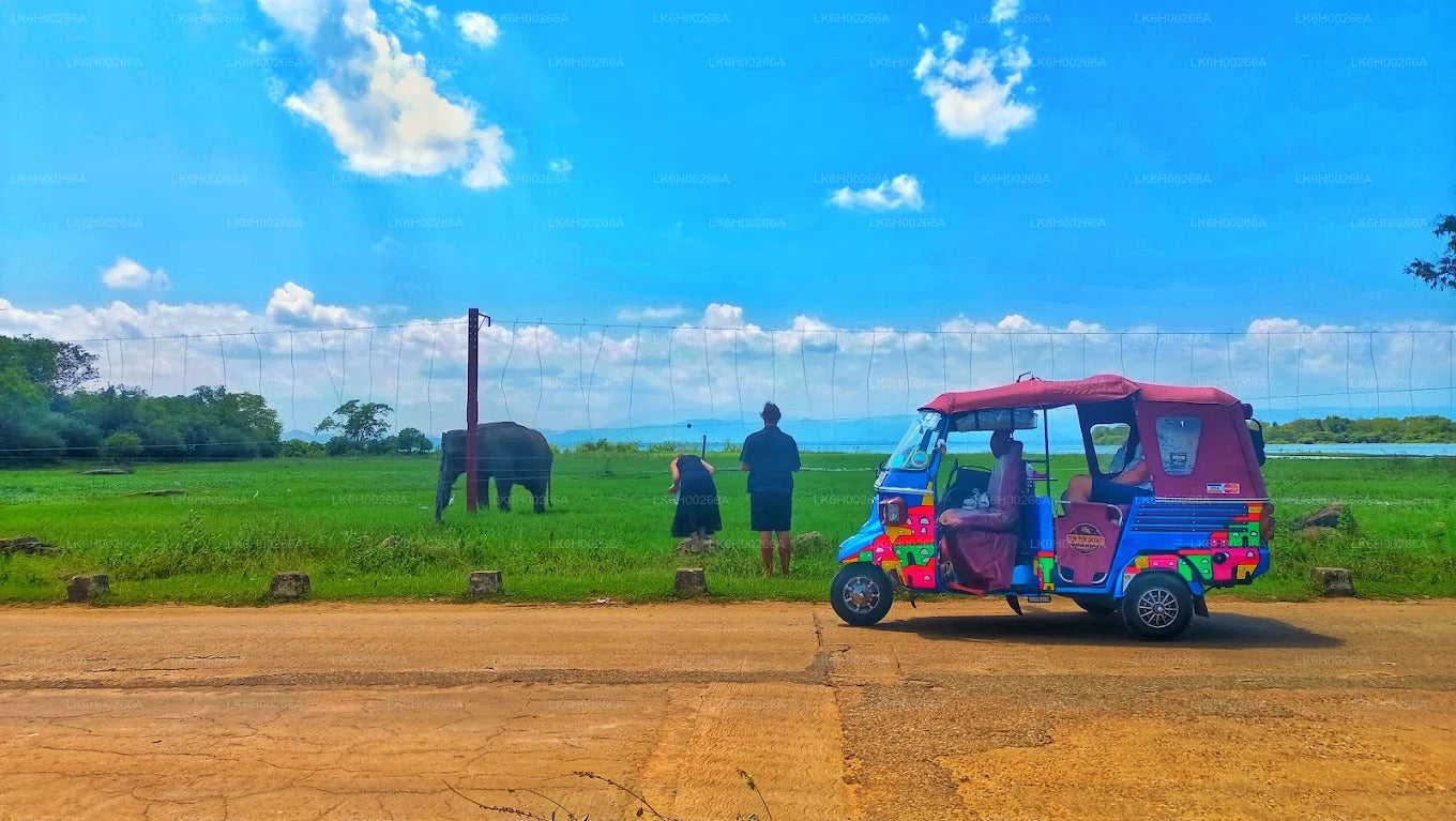 Tuk Tuk Safari langs de zuidkust vanuit Galle