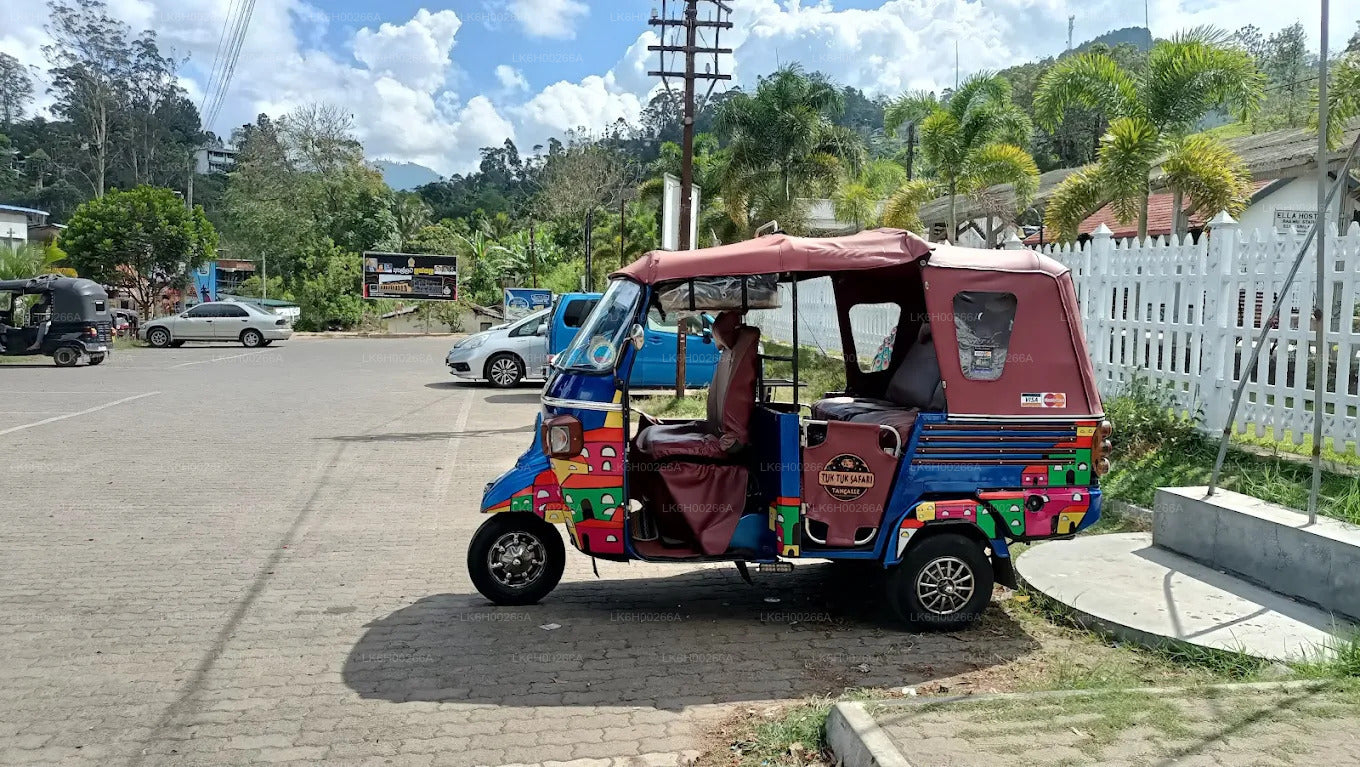 Tuk Tuk Safari langs de zuidkust vanuit Galle