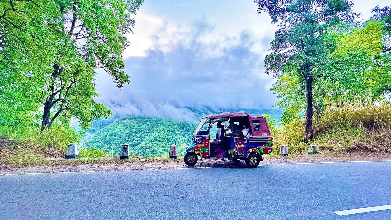 Tuk Tuk Safari langs de zuidkust vanuit Galle
