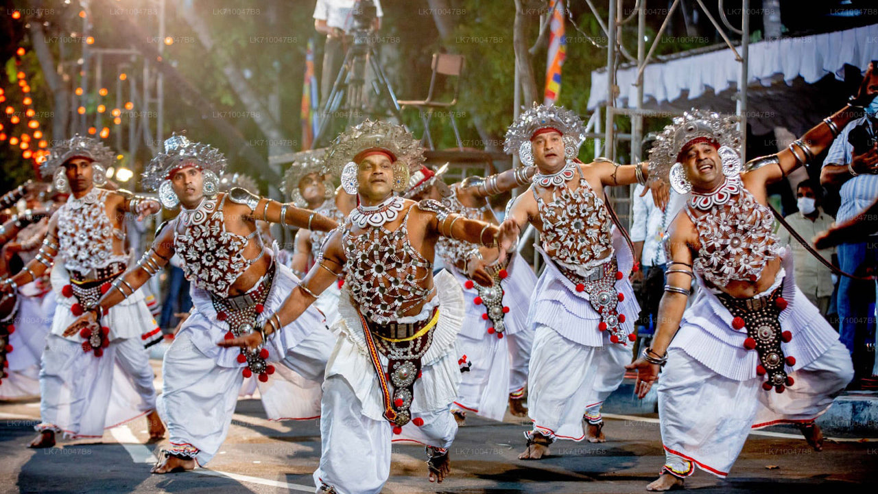 Kandy Esala Perahera - Dag 11 (kaartjes en zitplaatsen)