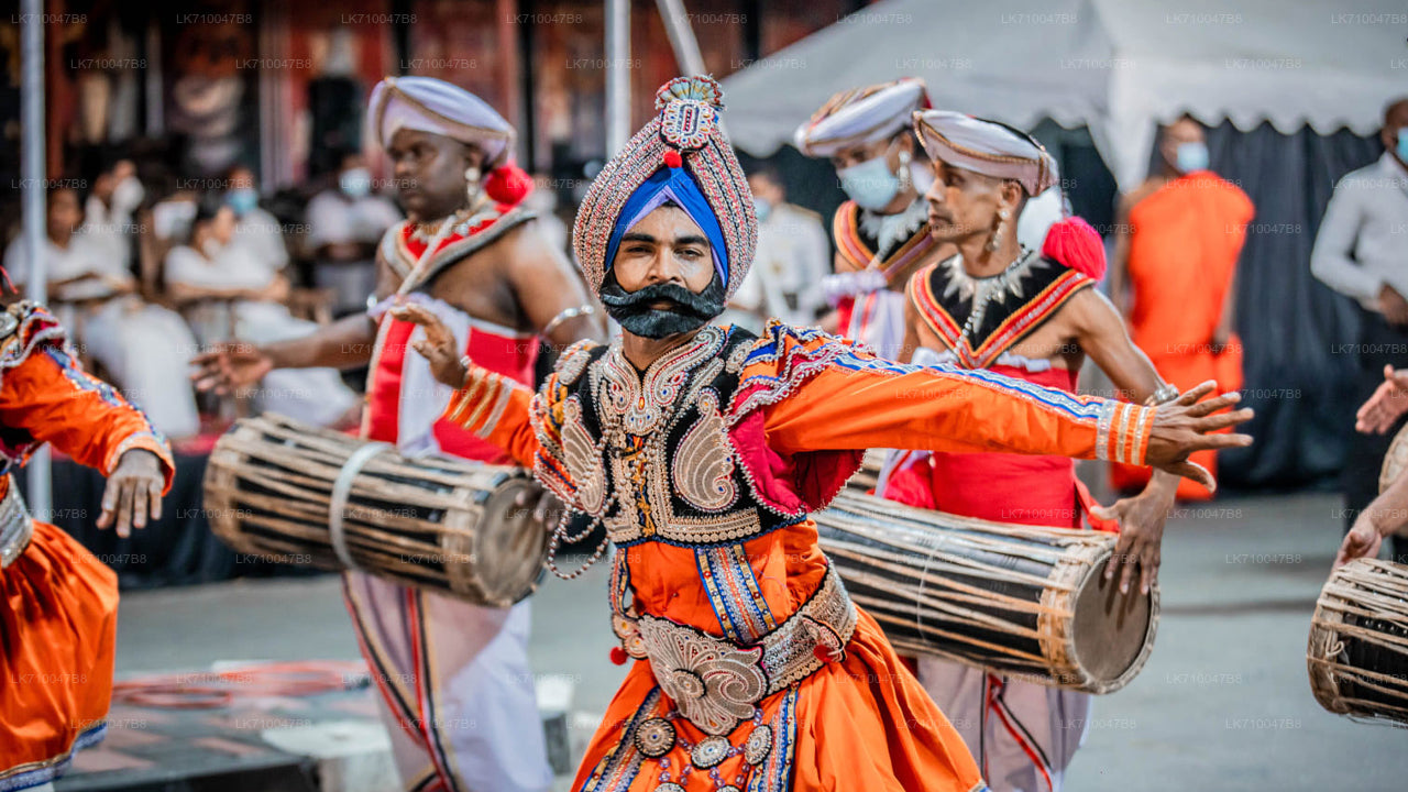 Kandy Esala Perahera - Dag 11 (kaartjes en zitplaatsen)