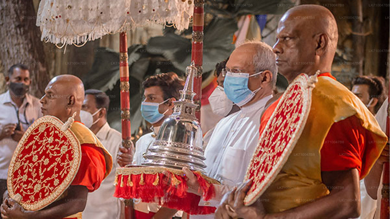 Kandy Esala Perahera - Dag 11 (kaartjes en zitplaatsen)