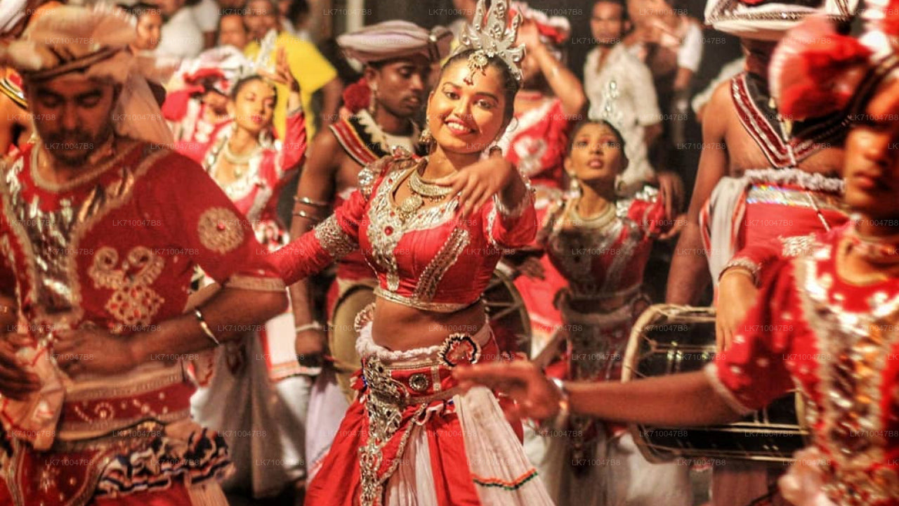 Kandy Esala Perahera - Dag 11 (kaartjes en zitplaatsen)