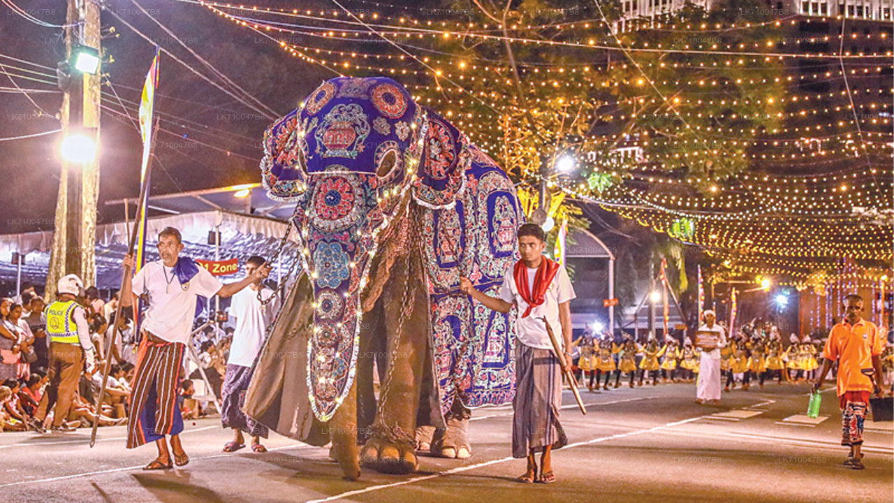 Kandy Esala Perahera - Dag 11 (kaartjes en zitplaatsen)