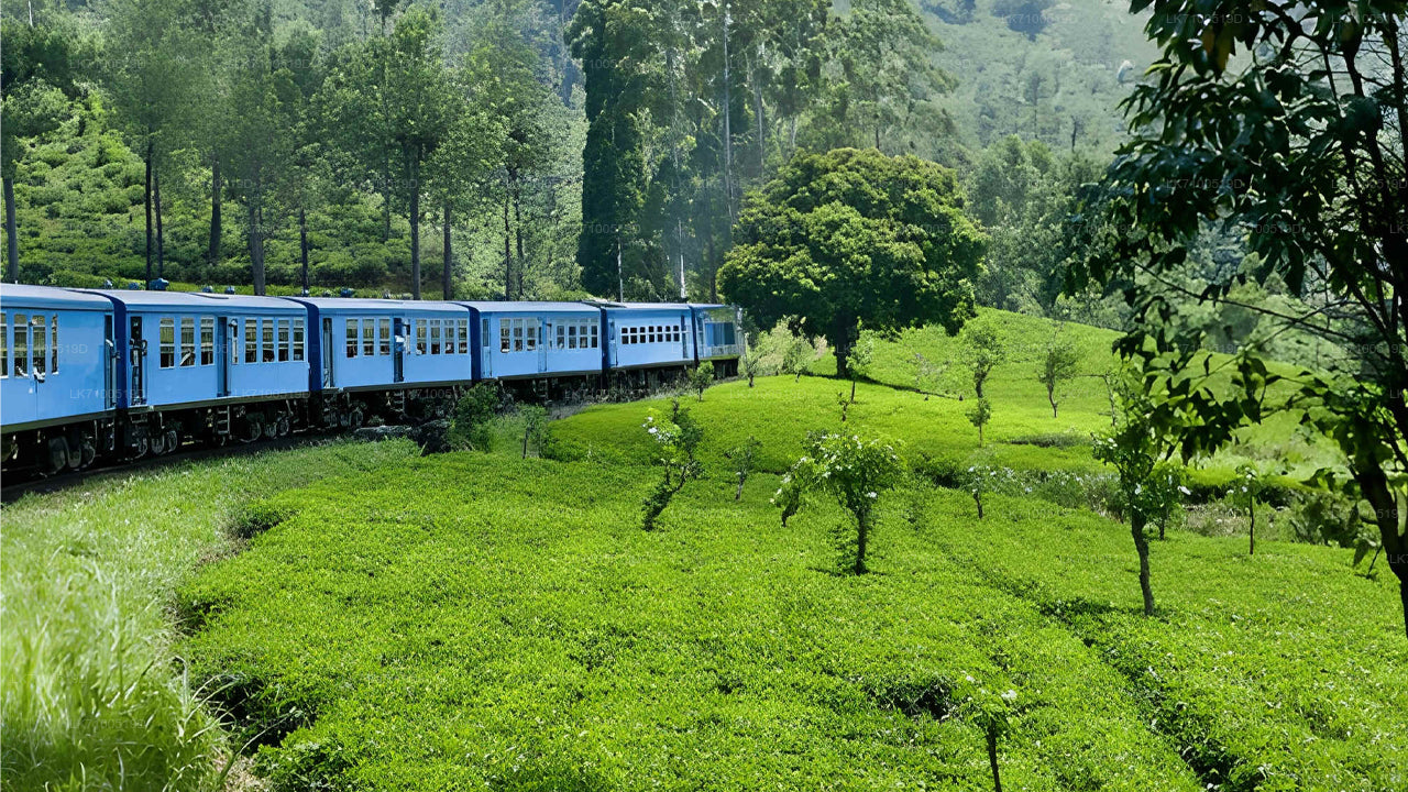 Treinreis van Ambewela naar Ella (Trein nr. 1005/1015)