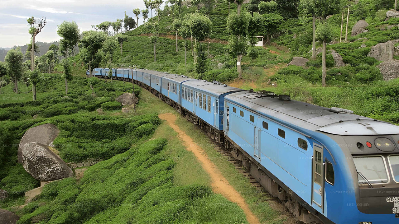 Blue train traveling through a scenic landscape with greenery and hills.