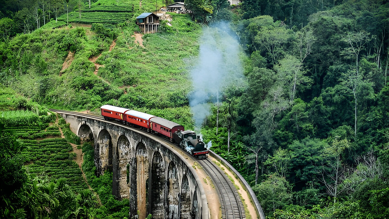 Calypso Tourist Train Ride