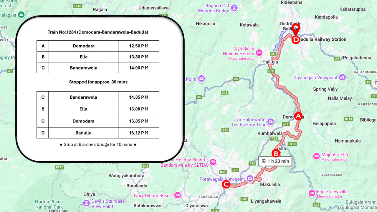 Calypso Tourist Train Ride