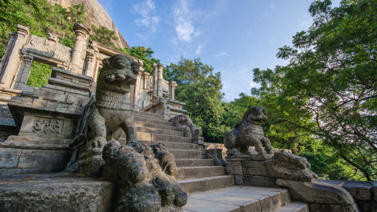Toegangskaarten voor Yapahuwa