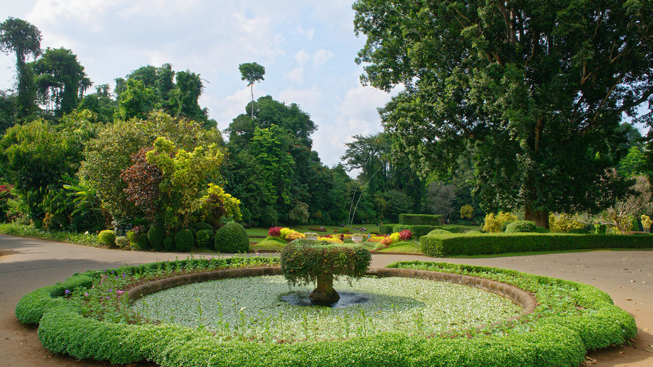 Toegangskaarten voor de botanische tuin Peradeniya