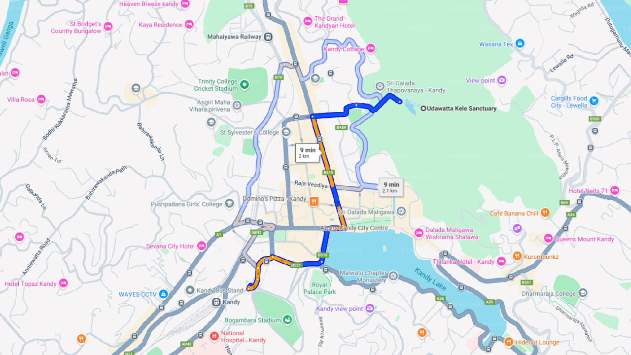 Wandeling door het Udawattakele-bosreservaat vanuit Kandy