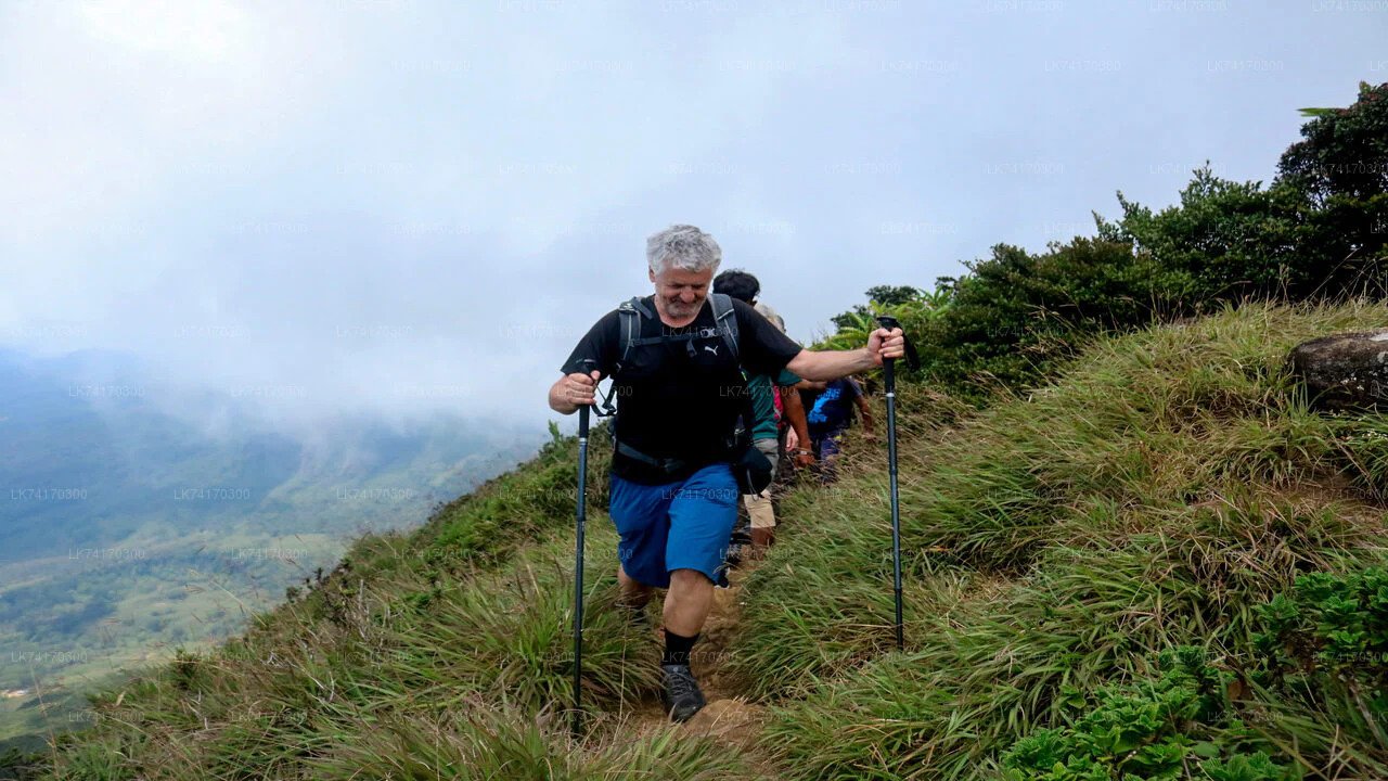 Trekking naar Heeloya Village vanuit Kandy