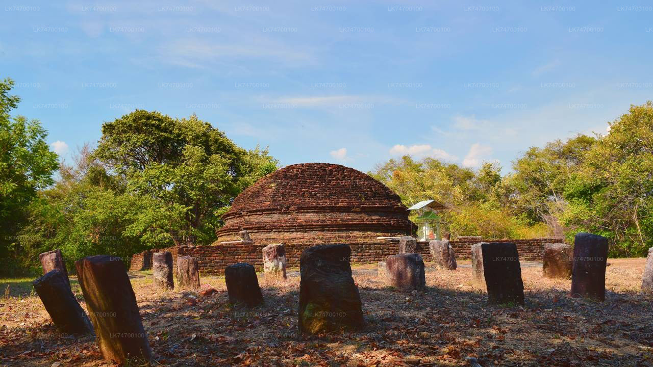 Wandeling naar Danigala Circular Rock vanuit Aaralaganwila