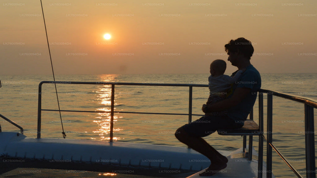 Jachtcruise van 2 uur vanuit Mirissa