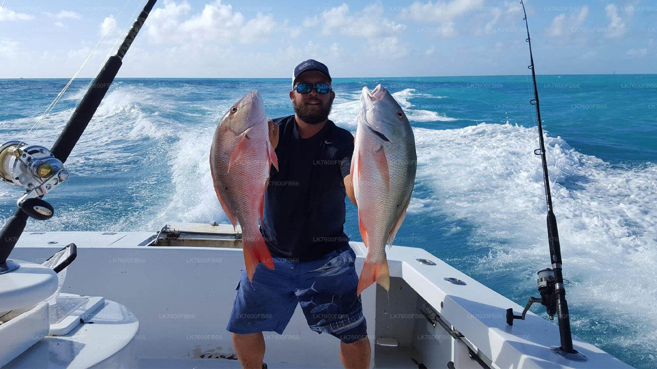 Vistocht vanuit Galle