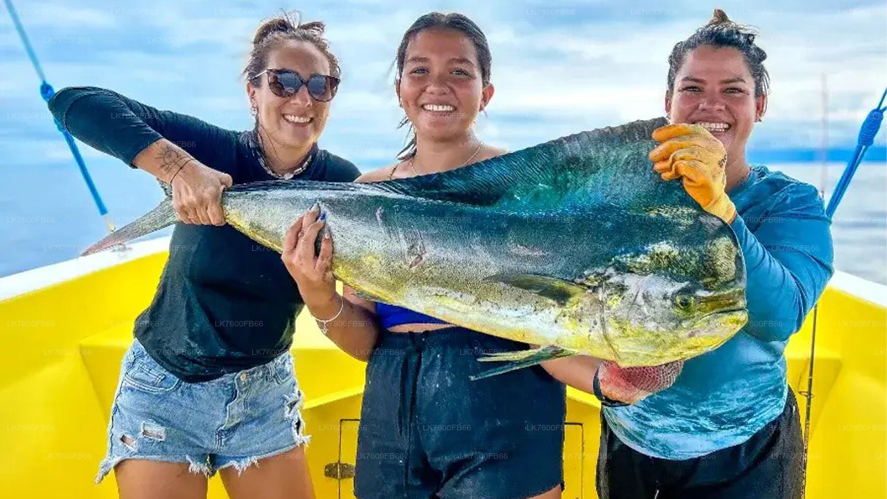 Vistocht vanuit Galle