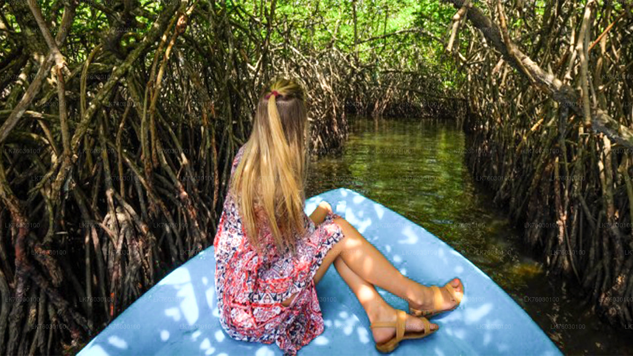 Bentota stadstour en Galle vanuit Beruwala