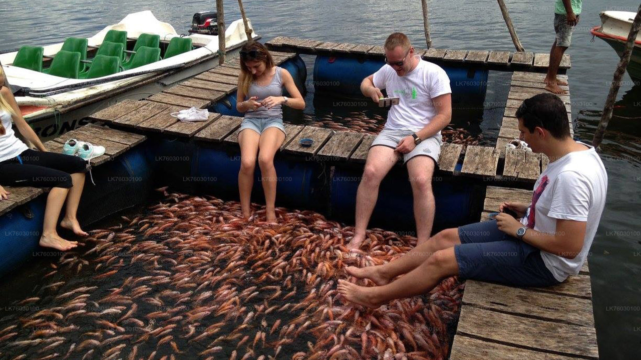 Madu River Boot Safari