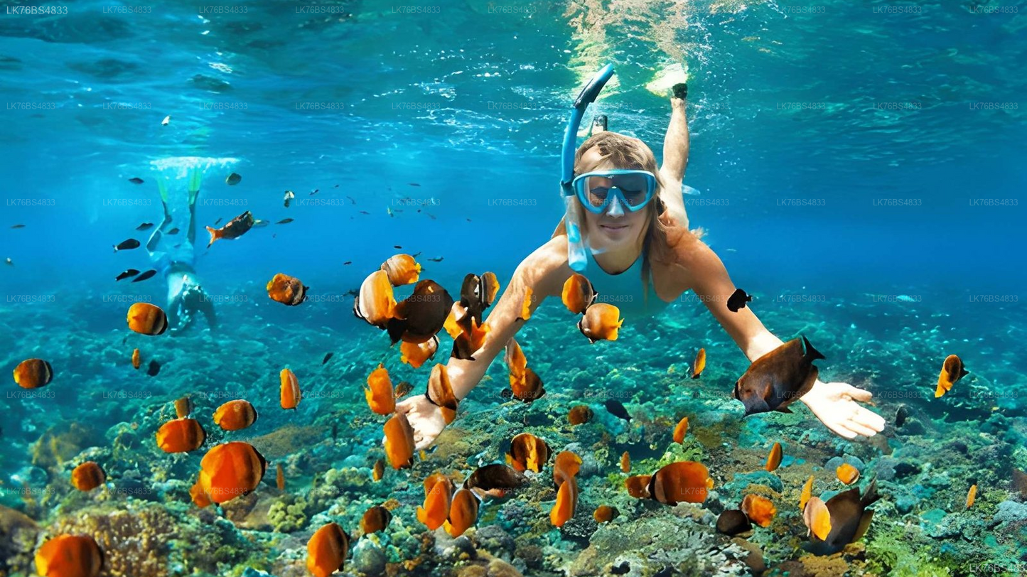 Snorkeling In Pasikudah Reef