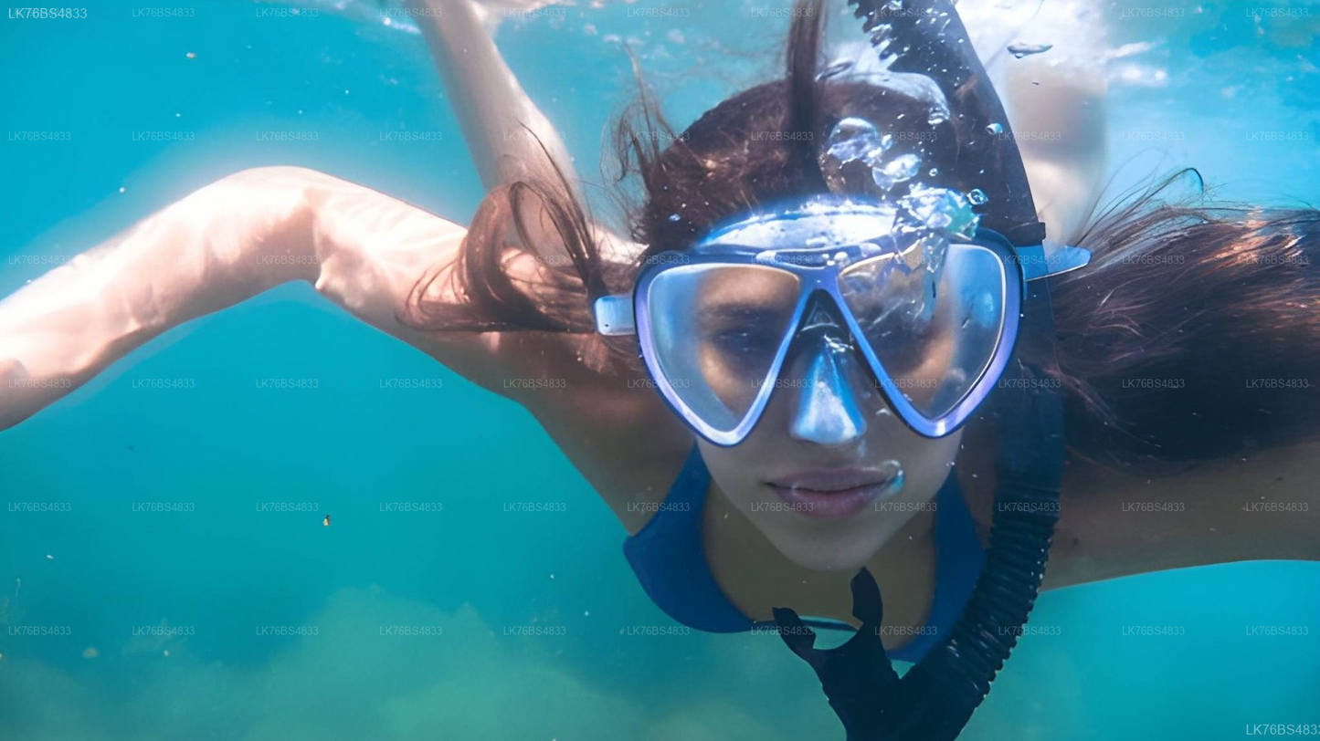 Snorkeling In Pasikudah Reef