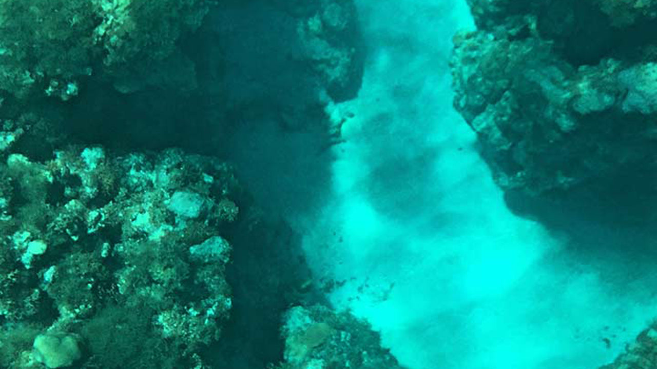 Boottocht met glazen bodem vanuit Hikkaduwa