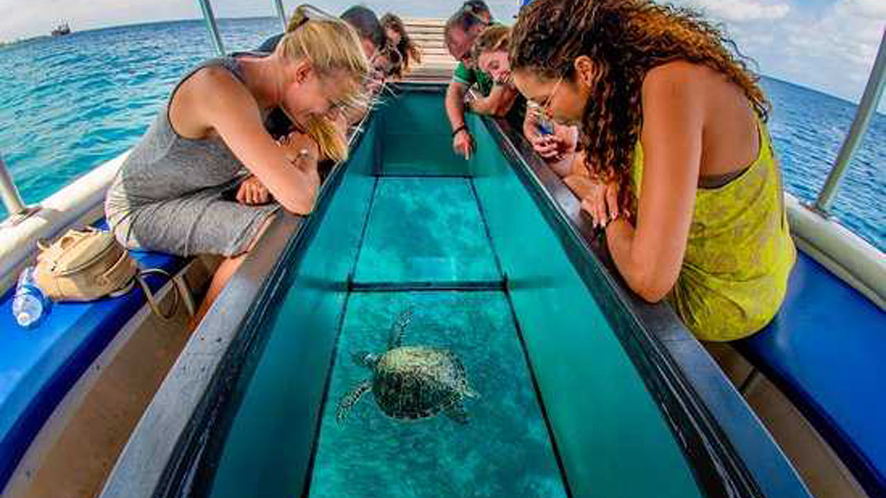 Glass Bottom Boat Ride from pasikuda