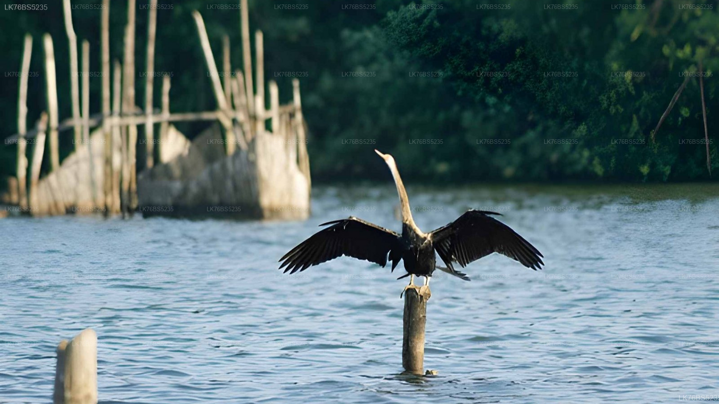 Lagoon Boat Tour from Pasikudah