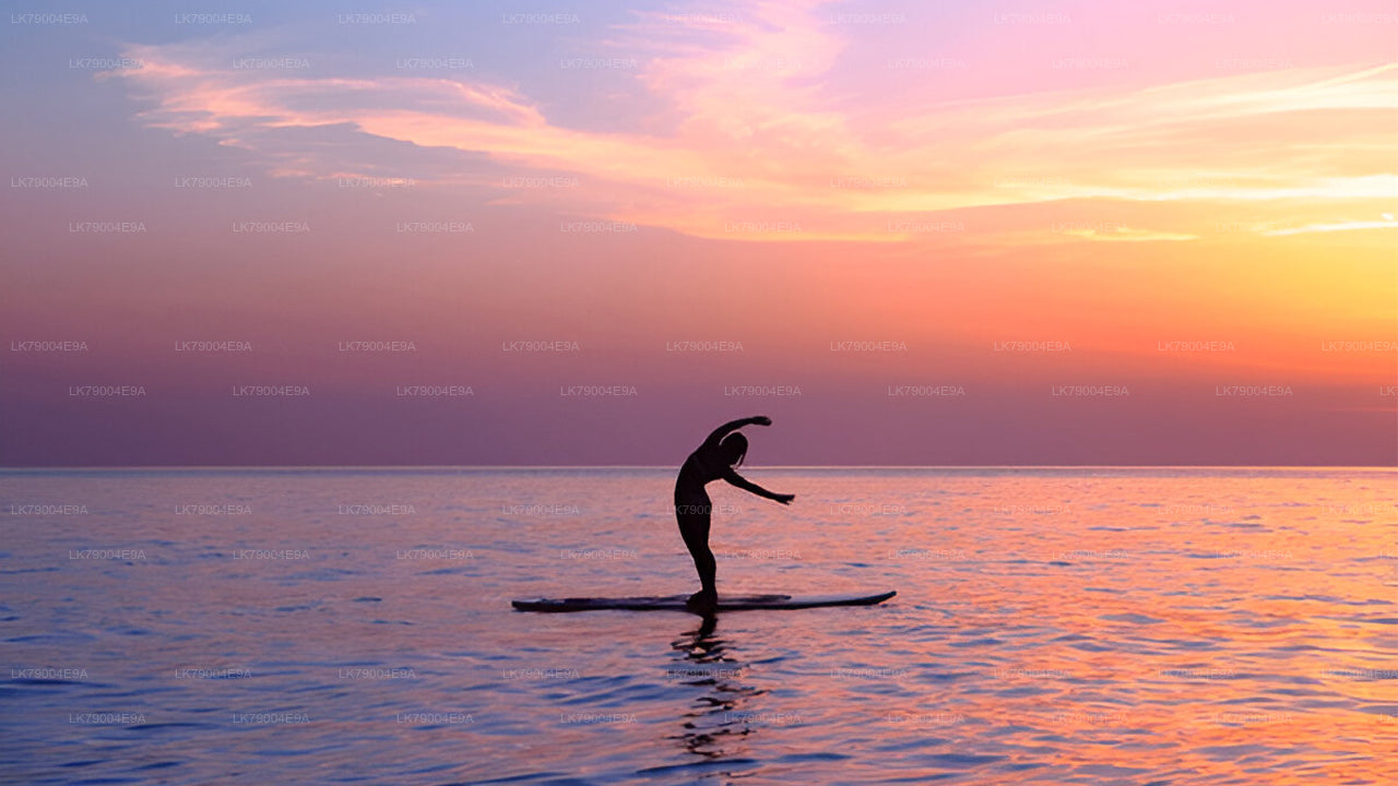 3 uur durende gedeelde zonsondergangcruise vanuit Galle