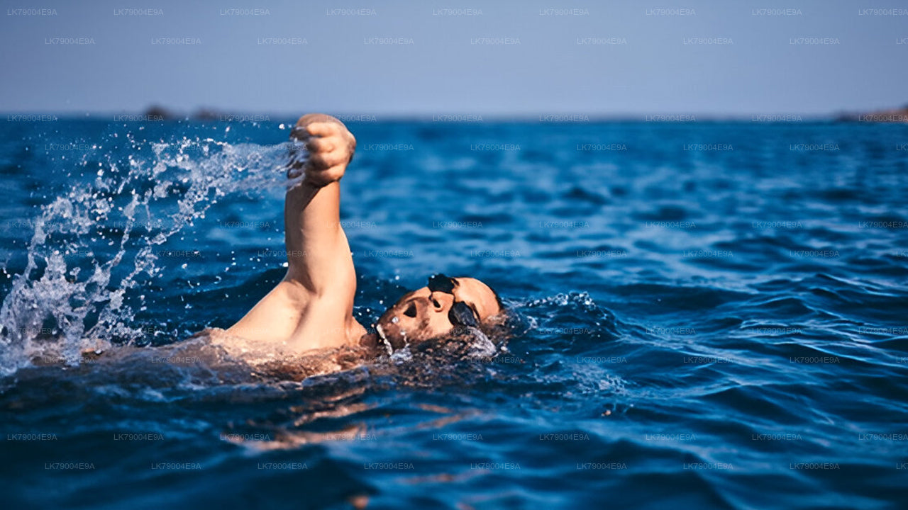 3 uur durende gedeelde zonsondergangcruise vanuit Galle