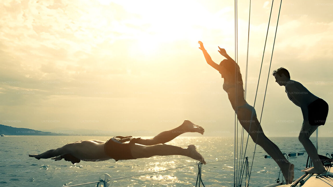 3 uur durende gedeelde zonsondergangcruise vanuit Galle