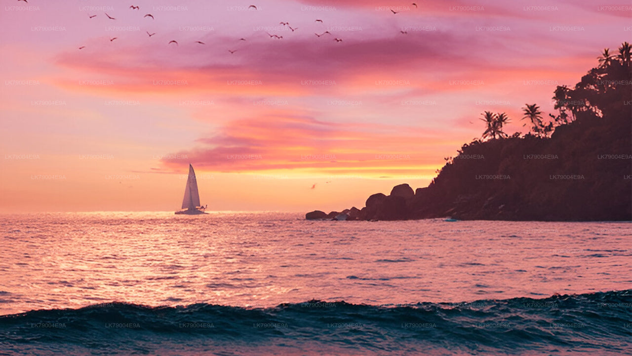 3 uur durende gedeelde zonsondergangcruise vanuit Galle