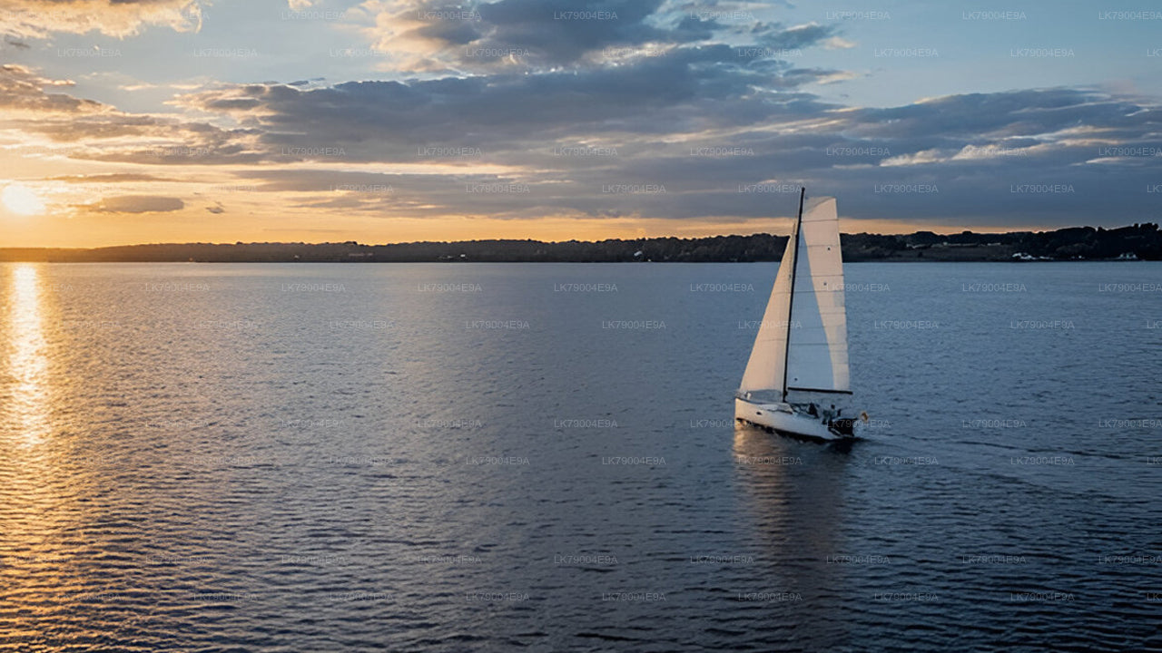 3 uur durende gedeelde zonsondergangcruise vanuit Galle
