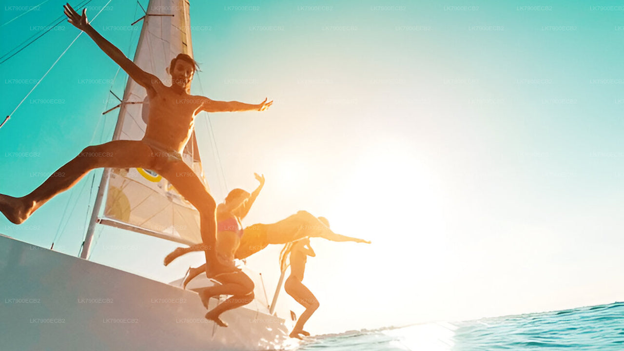 Tweedaagse cruise-ervaring vanuit Mirissa met de Ocean Diamond.