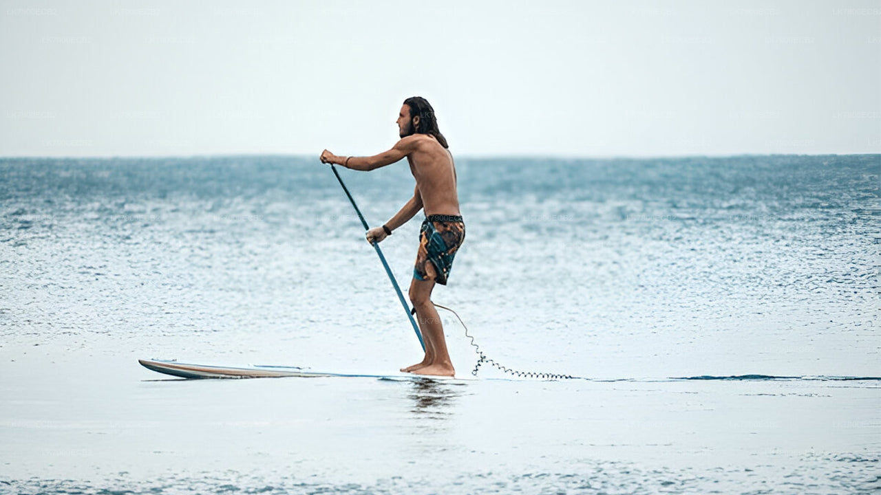 Tweedaagse cruise-ervaring vanuit Mirissa met de Ocean Diamond.