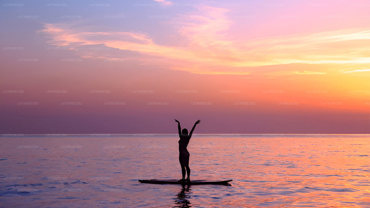 Een 6-daagse cruise-ervaring vanuit Mirissa met de Ocean Diamond.