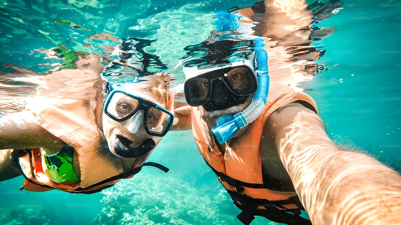 Ceycat Overnight Cruise In Koddiyar Bay